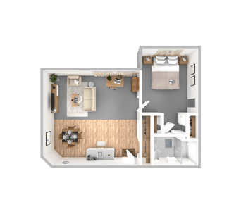 DSL_PSL_RMTN_1BR_SanJacinto_545-719sqft_WEB