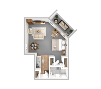 DSL_PSL_RMTN_Suite_Cuyamaca_382-571sqft_WEB