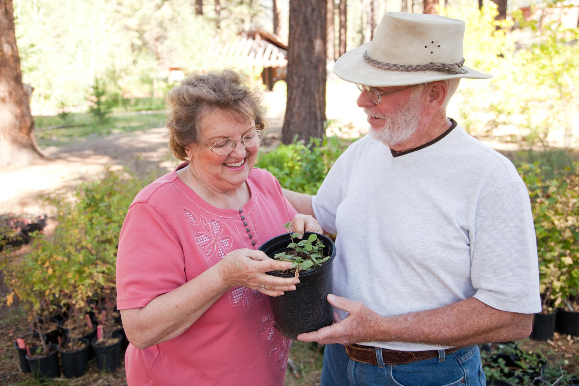 Wellness Month in Hanford: Promoting Senior Health and Well-Being
